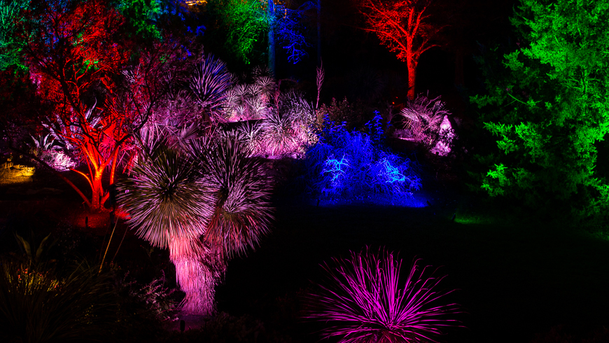Moonlight in the Garden