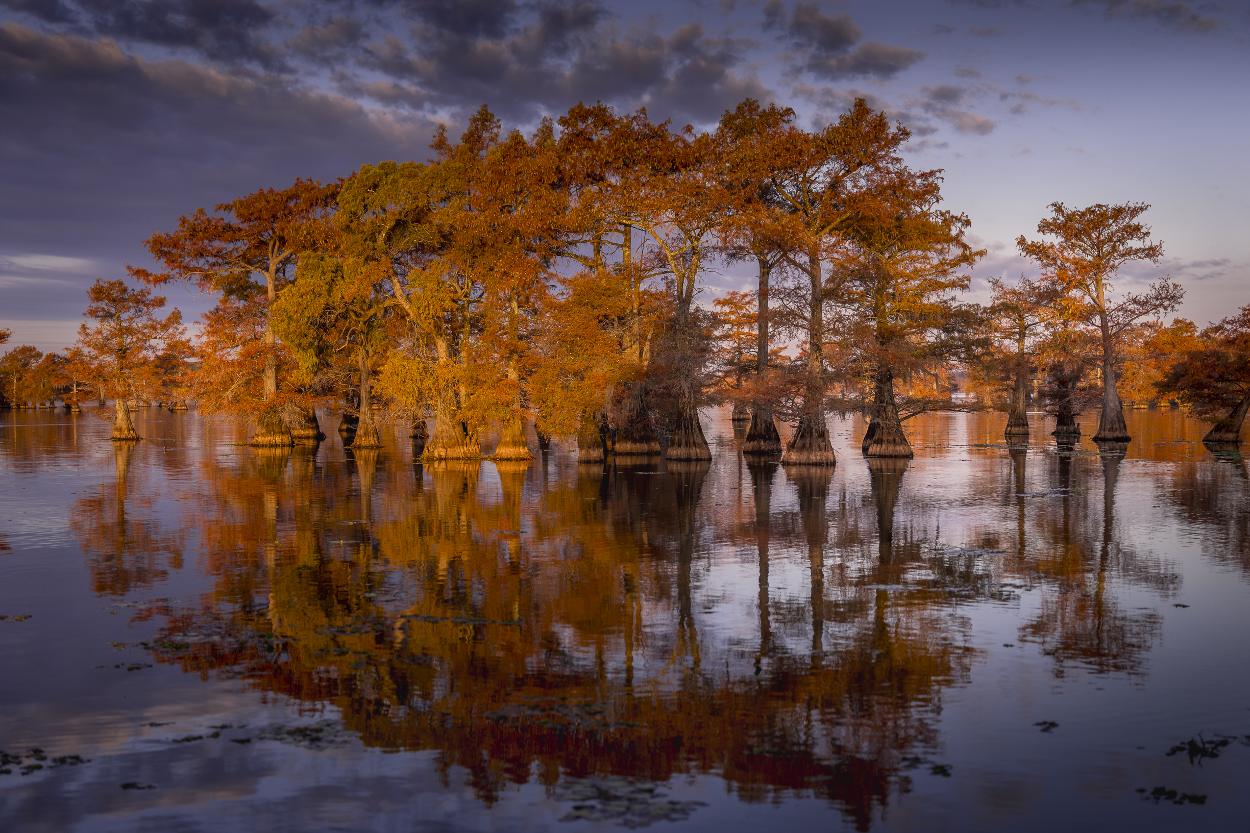 Caddo Lake, Texas