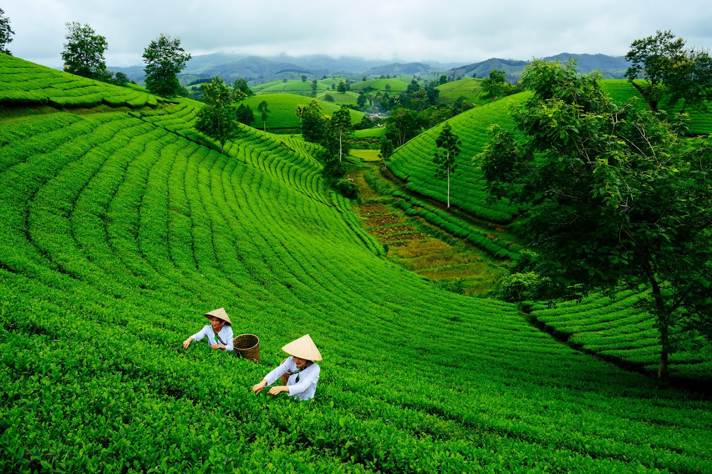 Best Vietnam Photo Tour